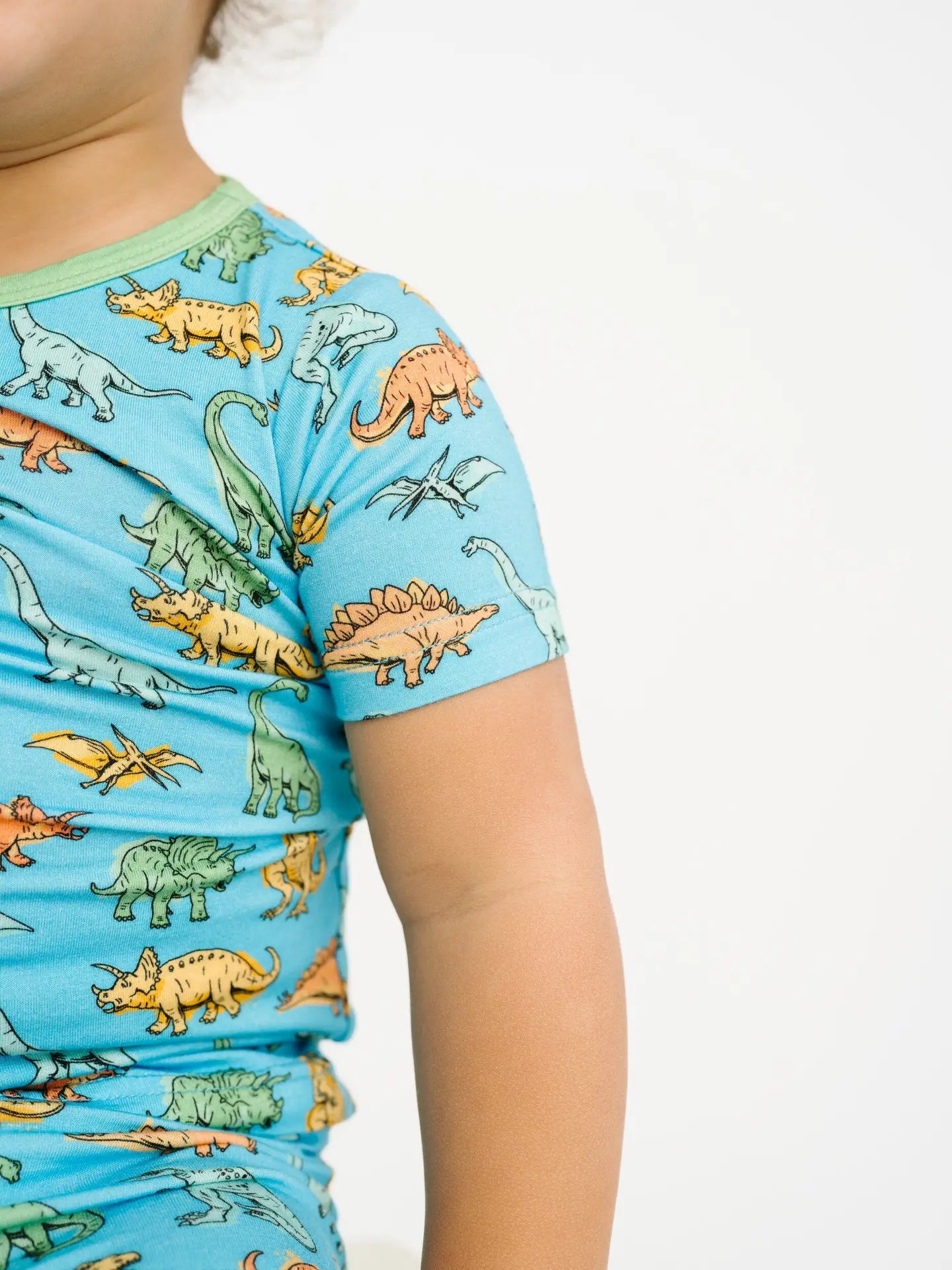 Dino Land Bamboo Set