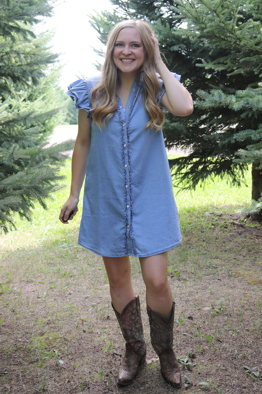 Denim Days Dress