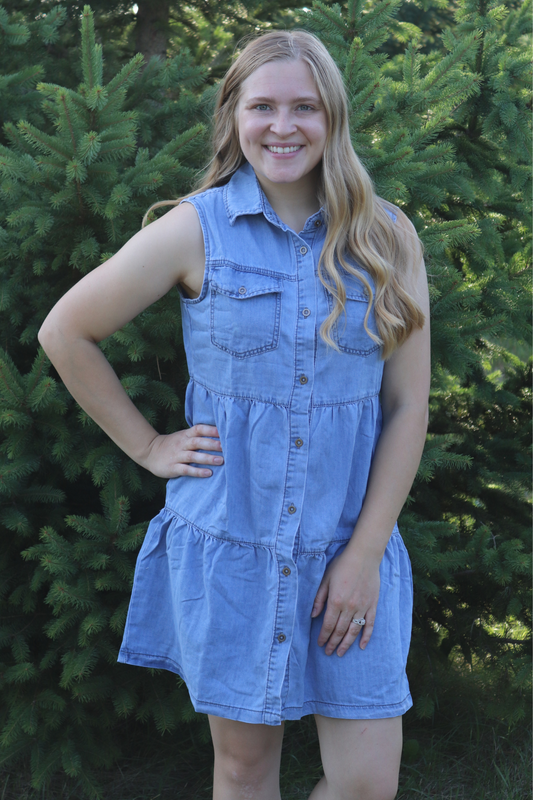 Button Up Denim Tank Dress