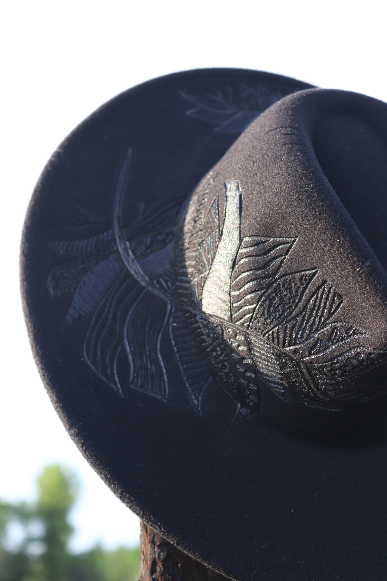 Black Feather Hat