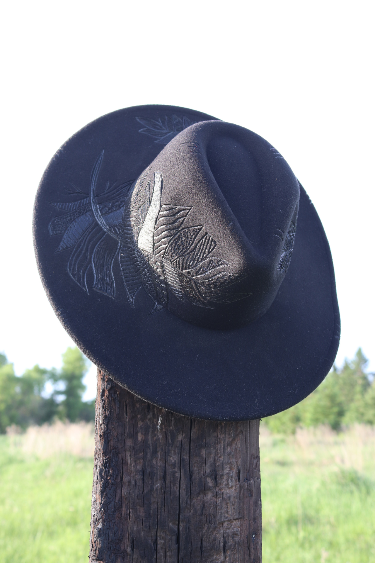 Black Feather Hat